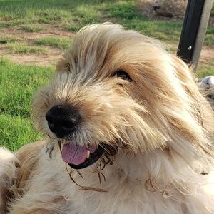 Meet your Posher, Marie